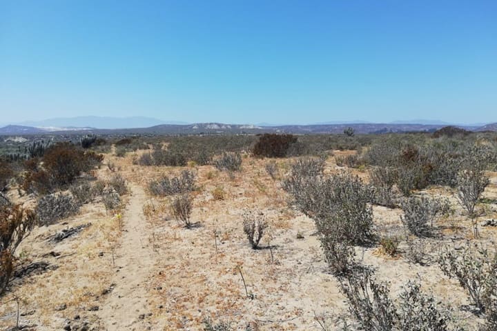 terreno en venta tongoy coquimbo