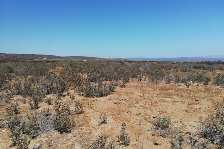 terreno en venta tongoy coquimbo