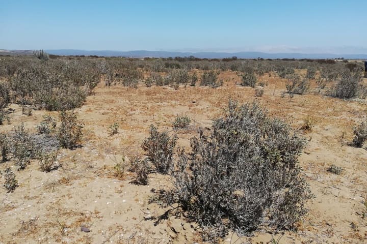 terreno en venta tongoy coquimbo