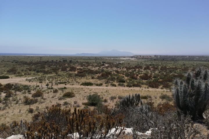 terreno en venta tongoy coquimbo