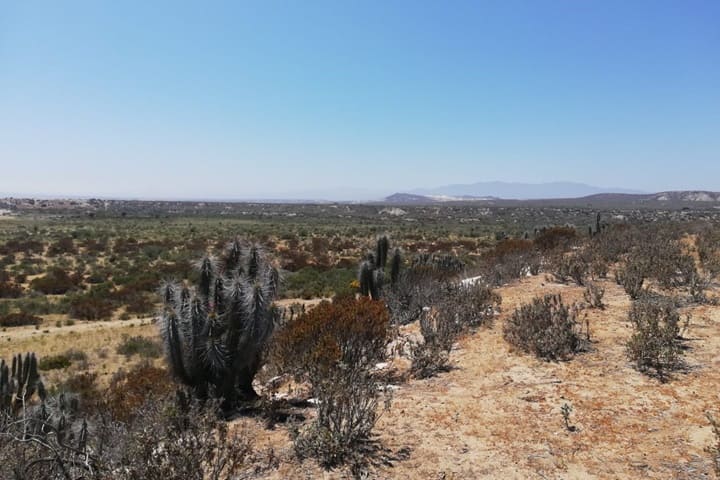 terreno en venta tongoy coquimbo