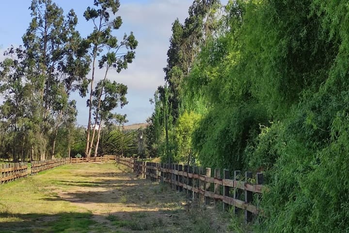 terreno en venta en el valle de elqui