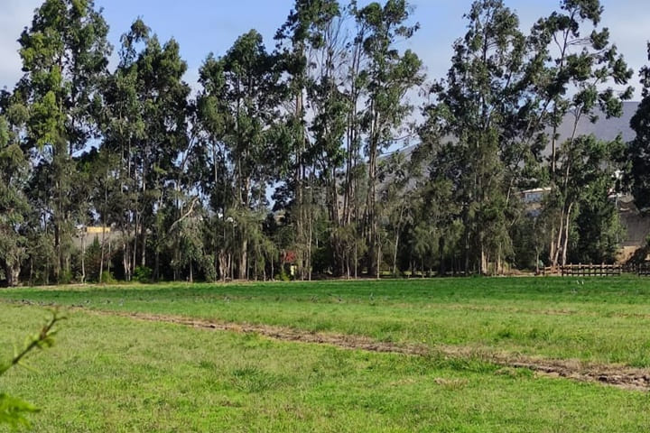 terreno en venta en el valle de elqui