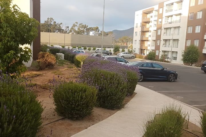 departamento en venta el milagro la serena