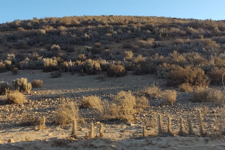 terrenos en venta en el valle de elqui