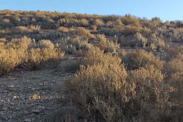 terrenos en venta en el valle de elqui