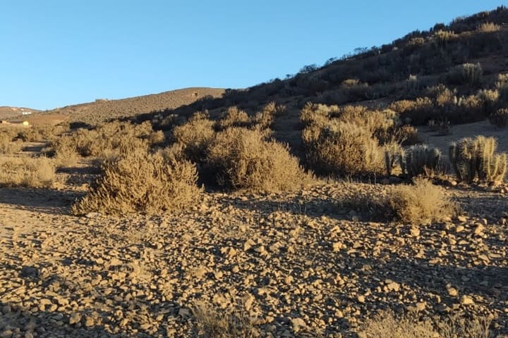 terrenos en venta en el valle de elqui