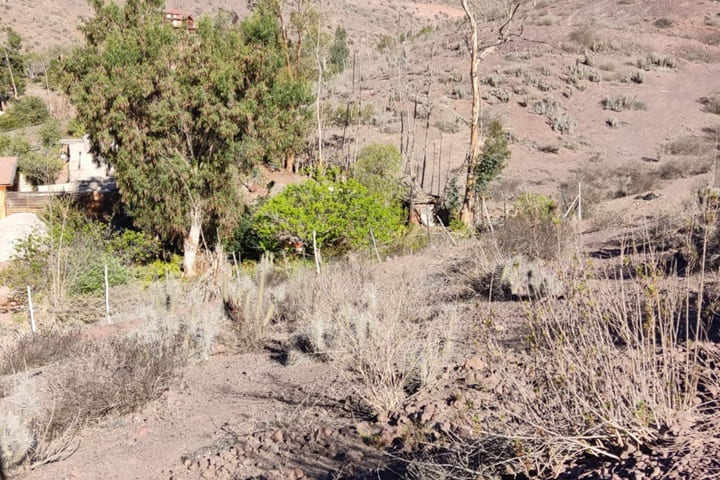 terreno en venta en el valle de elqui