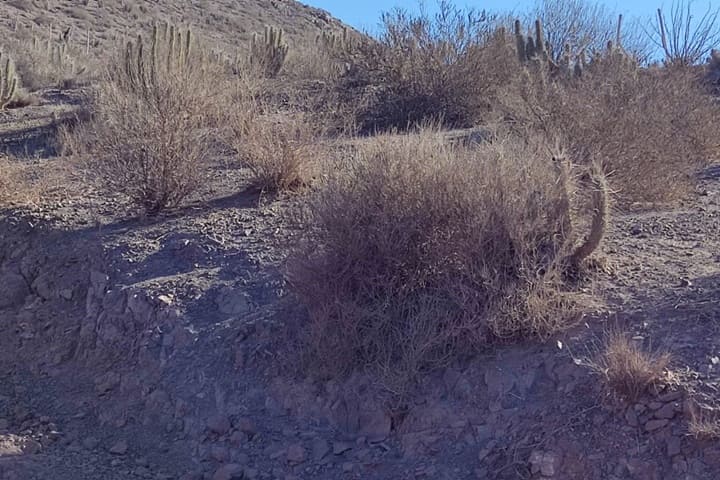 terreno en venta en el valle de elqui