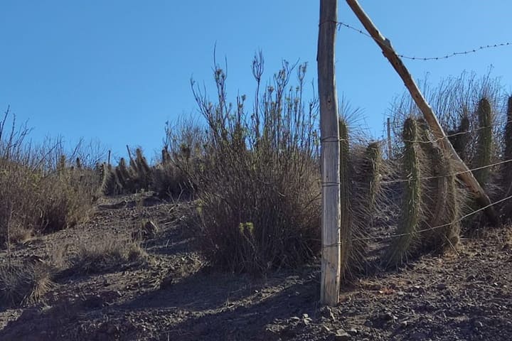 terreno en venta en el valle de elqui