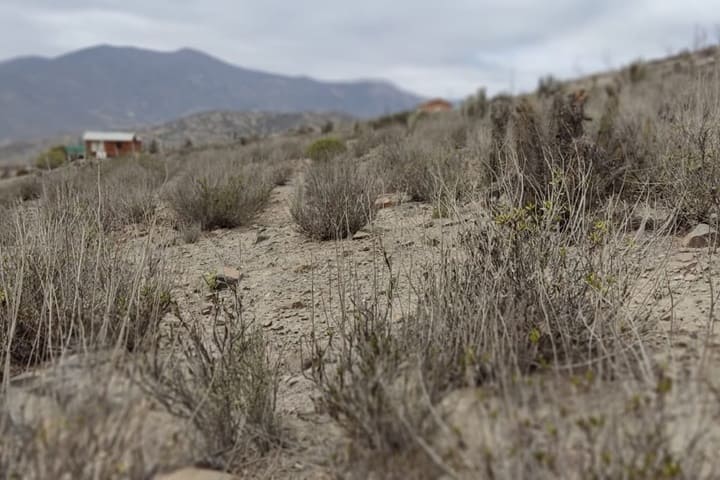 terrenos en venta en el valle de elqui