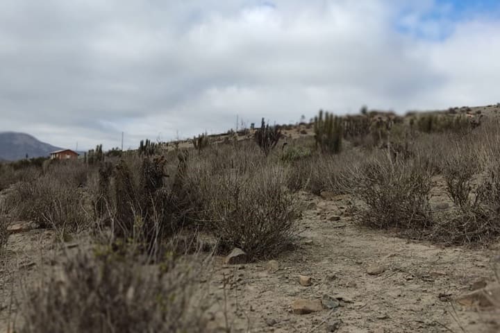 terrenos en venta en el valle de elqui