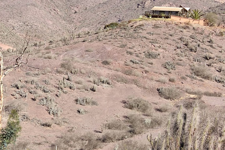 terreno en venta en el valle de elqui