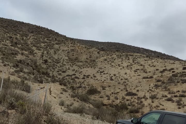 terrenos en venta en el valle de elqui