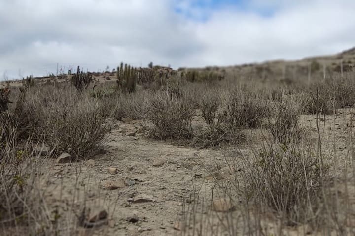 terrenos en venta en el valle de elqui