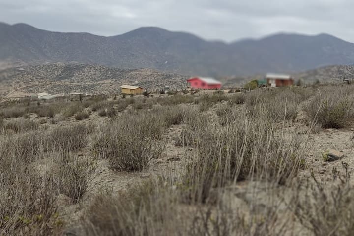 terrenos en venta en el valle de elqui