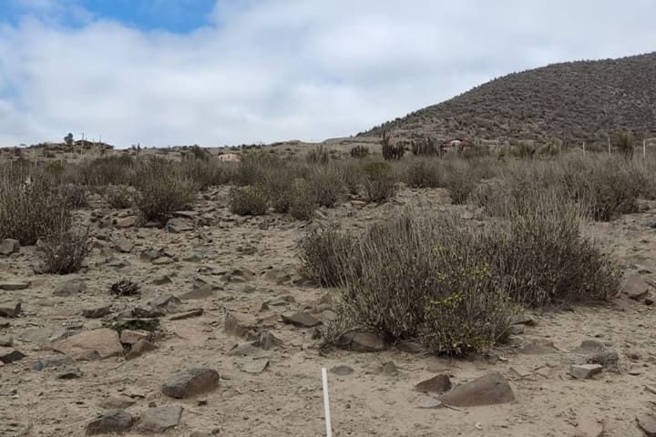 terrenos en venta en el valle de elqui