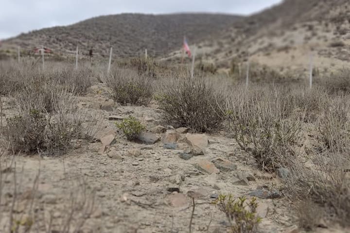 terrenos en venta en el valle de elqui