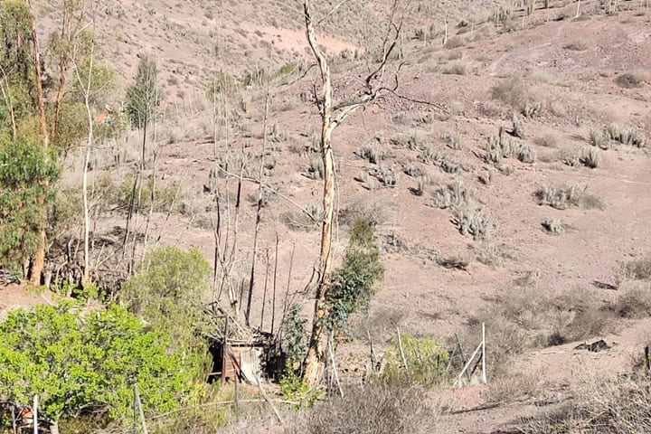 terreno en venta en el valle de elqui