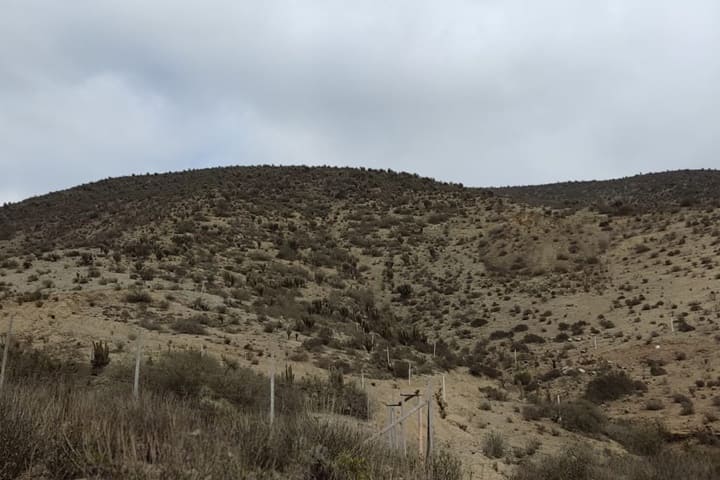 terrenos en venta en el valle de elqui