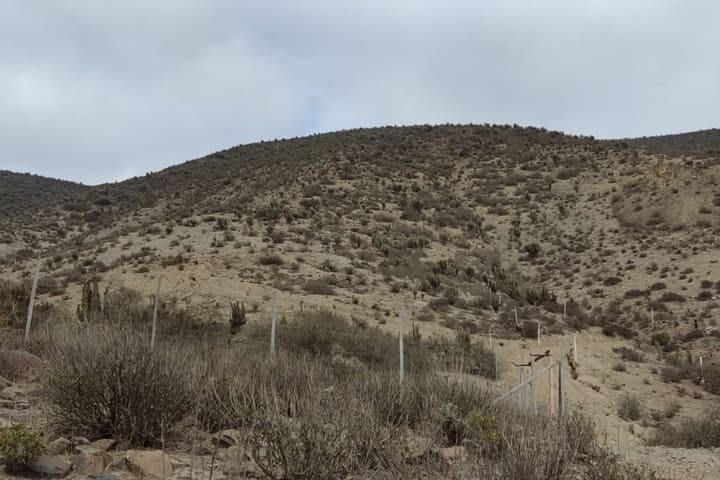 terrenos en venta en el valle de elqui