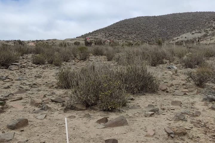 terrenos en venta en el valle de elqui