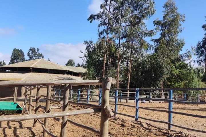 terreno en venta en el valle de elqui