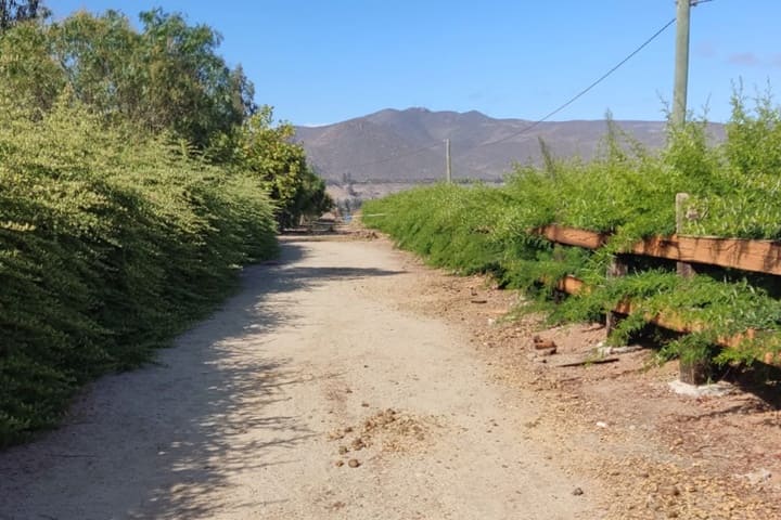 terreno en venta en el valle de elqui