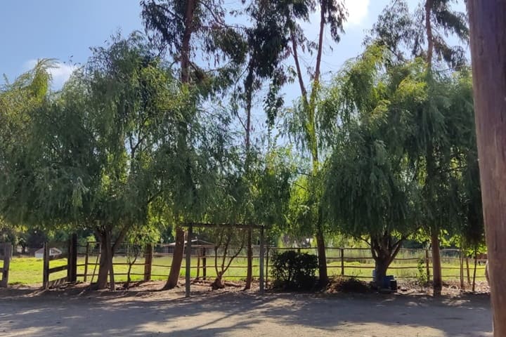 terreno en venta en el valle de elqui