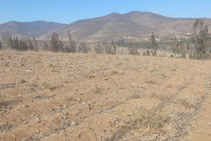 terrenos en venta en el valle de elqui