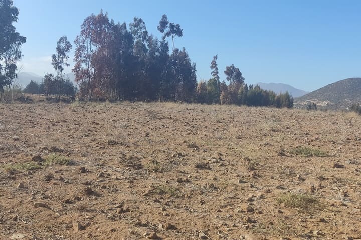 terrenos en venta en el valle de elqui