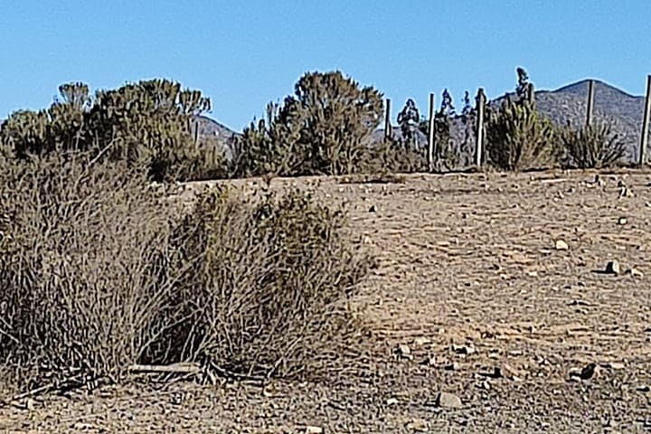 terrenos en venta en el valle de elqui