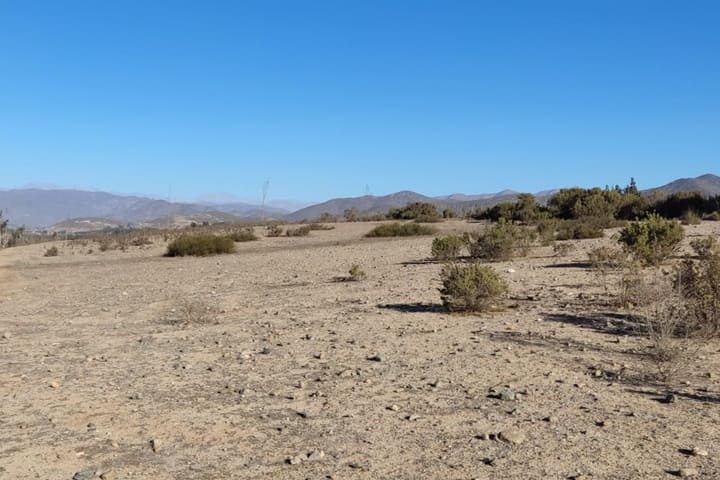 terrenos en venta en el valle de elqui