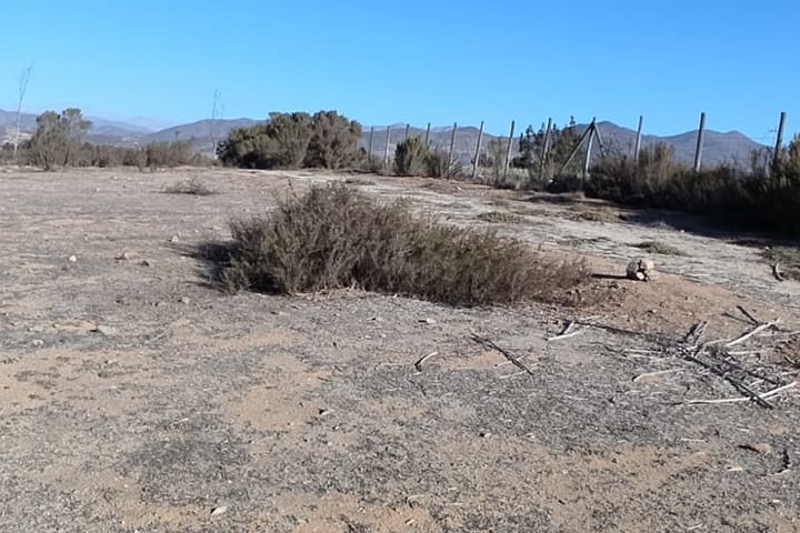 terrenos en venta en el valle de elqui