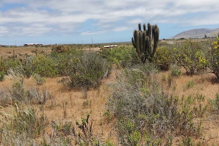 terrenos en venta en tongoy coquimbo