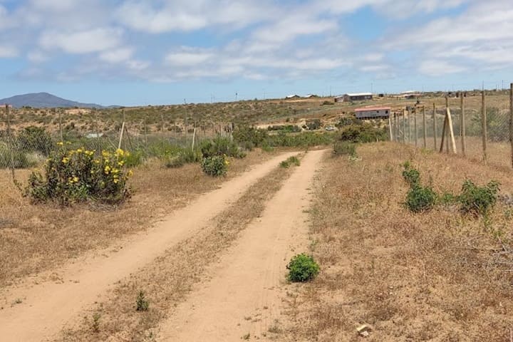 terrenos en venta en tongoy coquimbo