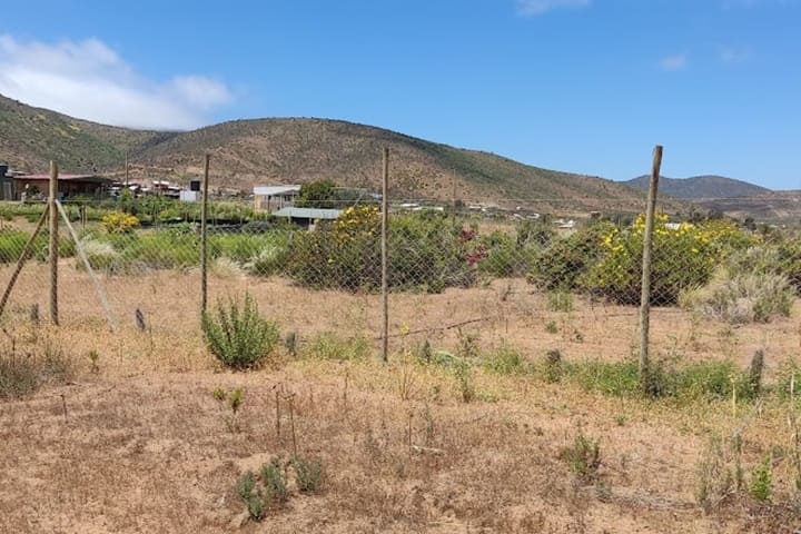 terrenos en venta en tongoy coquimbo