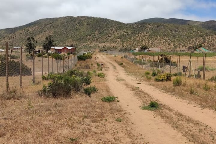 terrenos en venta en tongoy coquimbo