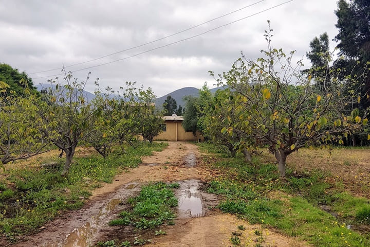 terrenos en venta en el valle de elqui