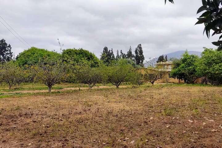 terrenos en venta en el valle de elqui