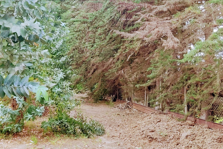 terrenos en venta en el valle de elqui