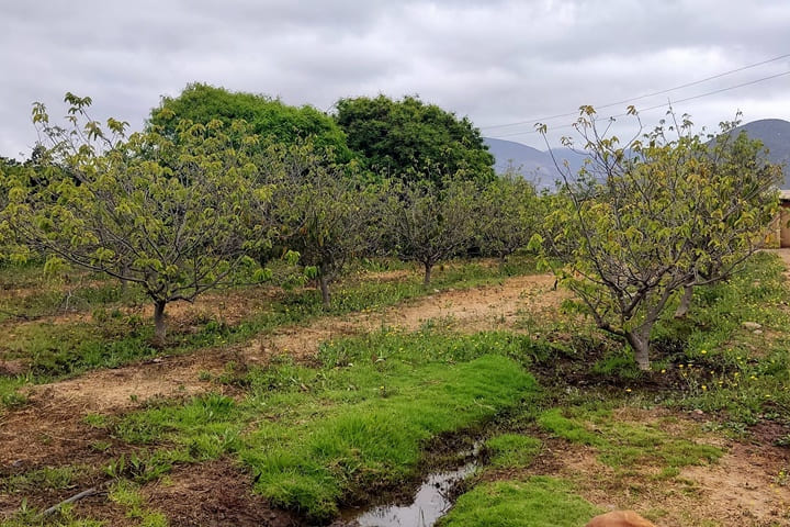 terrenos en venta en el valle de elqui