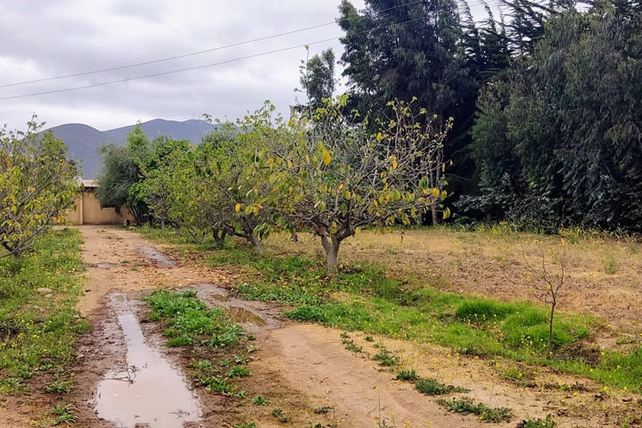 terrenos en venta en el valle de elqui