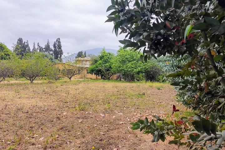 terrenos en venta en el valle de elqui