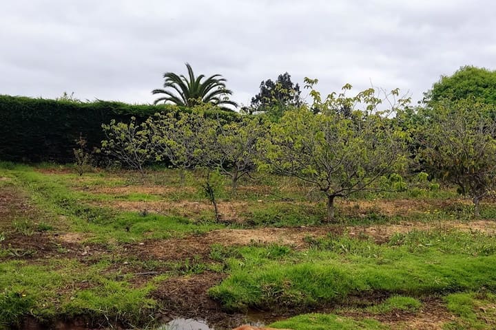 terrenos en venta en el valle de elqui