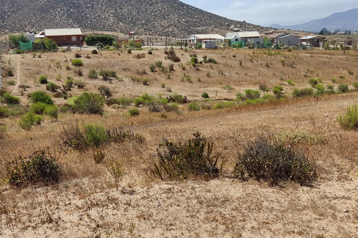 terrenos en venta en el valle de elqui